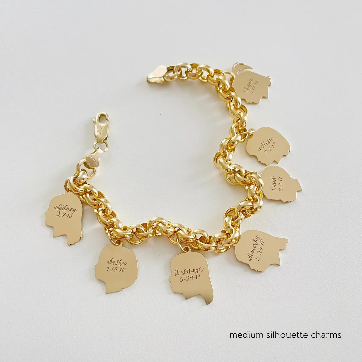 Classic Silhouette Charm Bracelet