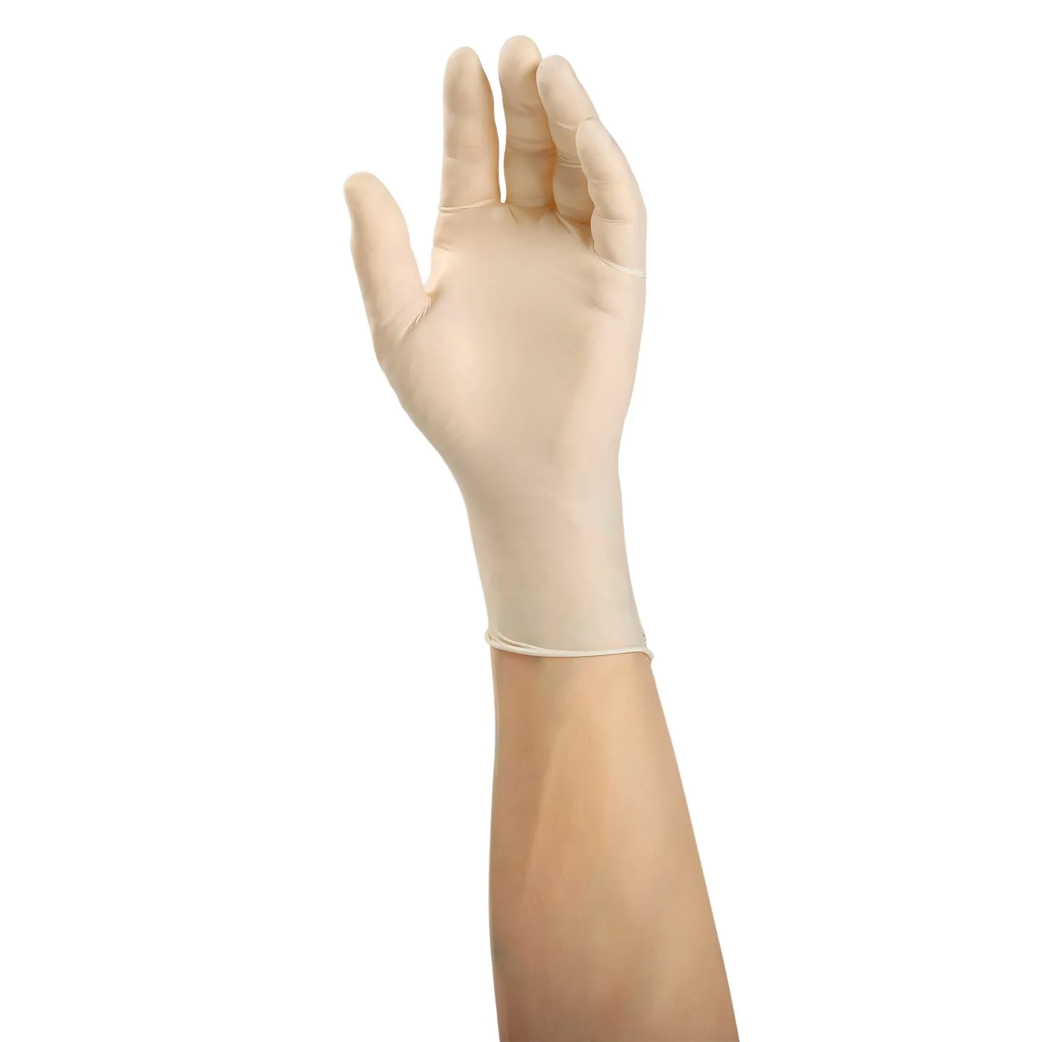 Verge Powder Free Latex Glove (#2799) Samples